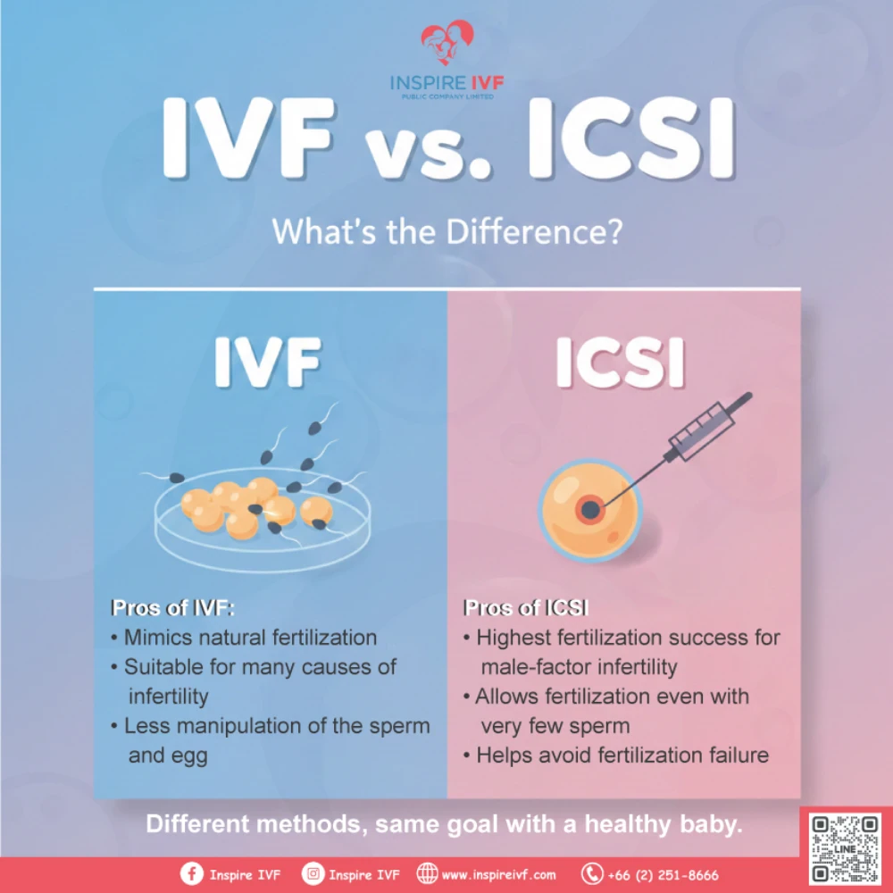 IVF vs. ICSI — What’s the Difference? And which option is right for you?