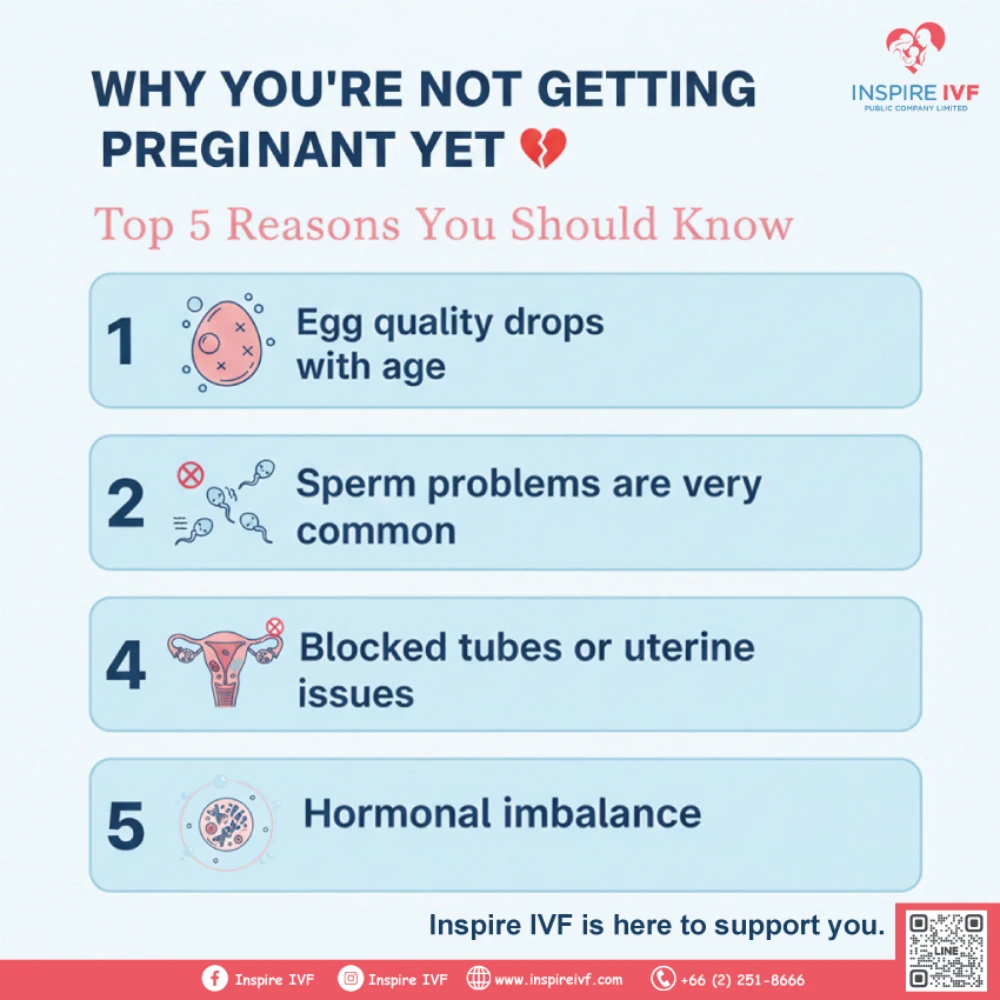 Why Many Couples Struggle to Conceive — Even After Trying for Months or Years