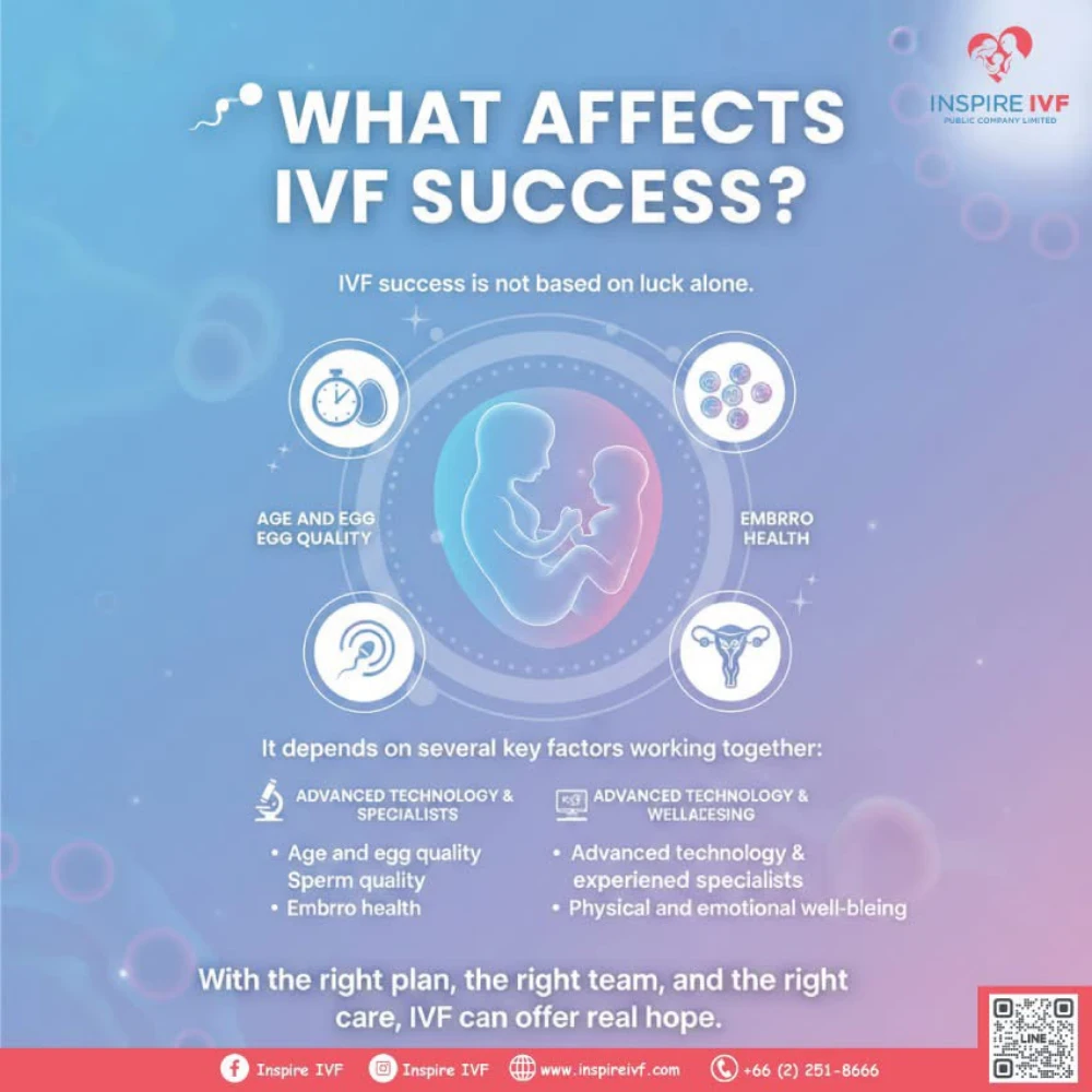 What Factors Affect IVF Success Rates?